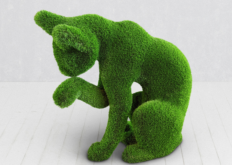 Кошка